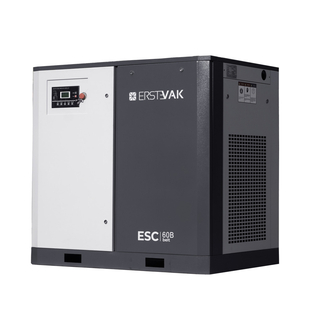 Компрессор ERSTEVAK ESC-75D VSD 10 атм