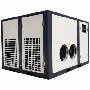 Компрессор GMP GM 90-30 VSD
