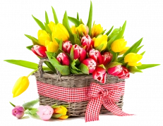 Дорогие женщины! Поздравляем Вас с Международным женским днём 8 марта!