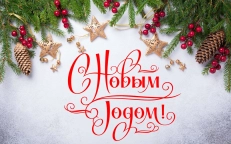 С наступающим Новым 2021 Годом и Рождеством!