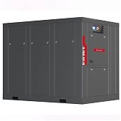 Компрессор Dalgakiran DVK D 180-13