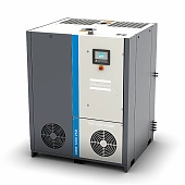Вакуумный насос Atlas Copco DZM 600 VSD+