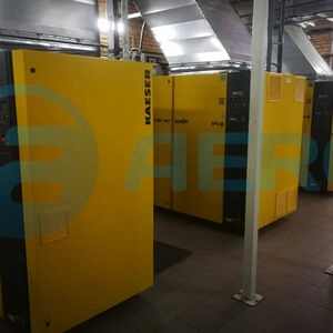 Сервисное обслуживание винтовых компрессоров Kaeser CSDX 165 T