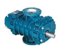 Воздуходувки Robuschi (Италия)