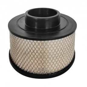 Воздушный фильтр Remeza 4091000110