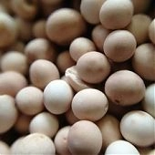 Силикагель WS2050 BASF