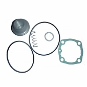 Ремкомплект всасывающего клапана Remeza 080738