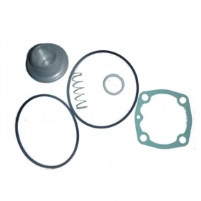 Ремкомплект всасывающего клапана Remeza 080738