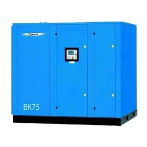 Компрессор Remeza ВК75-2,5