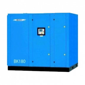 Компрессор Remeza BK180-8\10