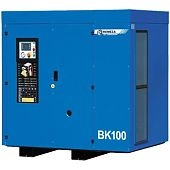 Компрессор Remeza ВК100Е-8(10/13/15)