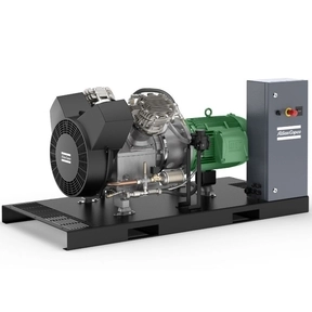 Компрессор Atlas Copco LB15-300
