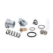 Набор термостата и клапана минимального давления Ceccato 2901109500