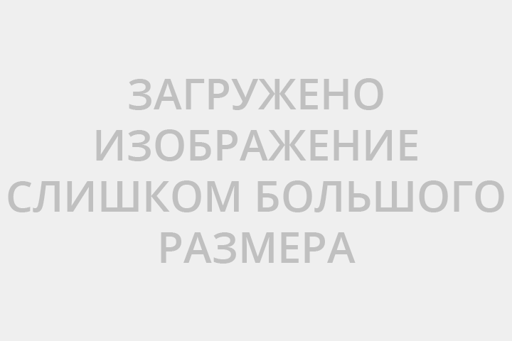 Масло Atlas Copco Roto-H Plus 20л